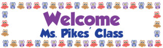 Owl Banner