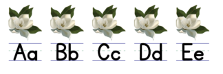 Magnolia Alphabet Line