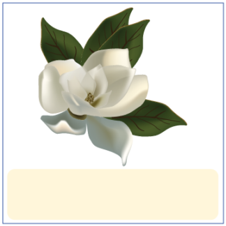 Magnolia 5" Cutouts