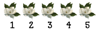 Magnolia Number Line