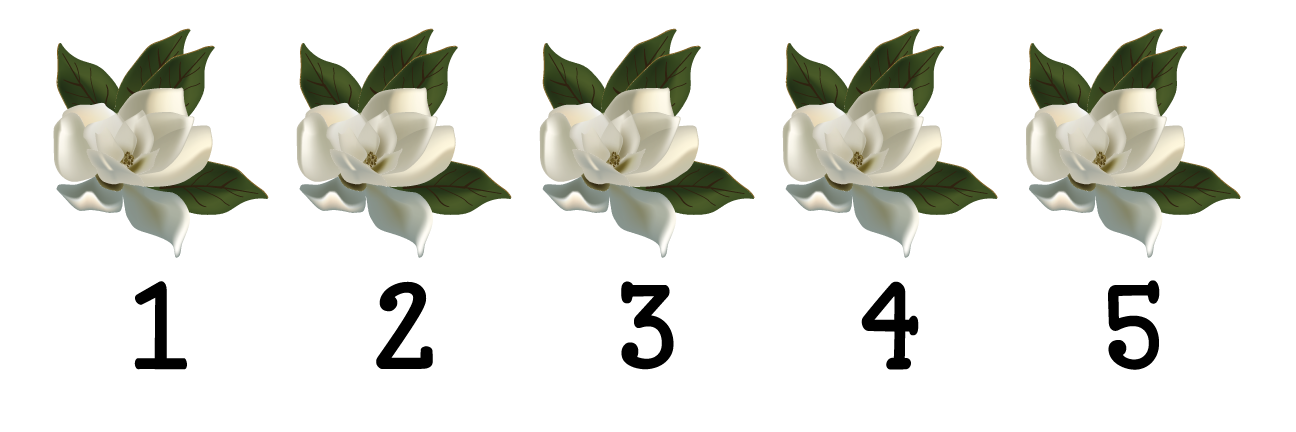 Magnolia Number Line