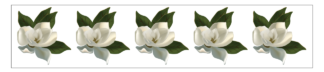 Magnolia Trimmer